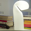 70782_510.jpg